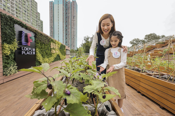 樂富廣場增設九龍區内唯一一個商場戶外都市農莊，種植多款特色香草及有機蔬果。